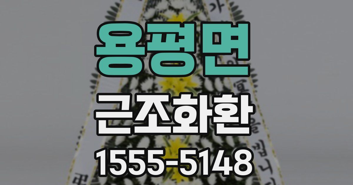 용평면 근조화환