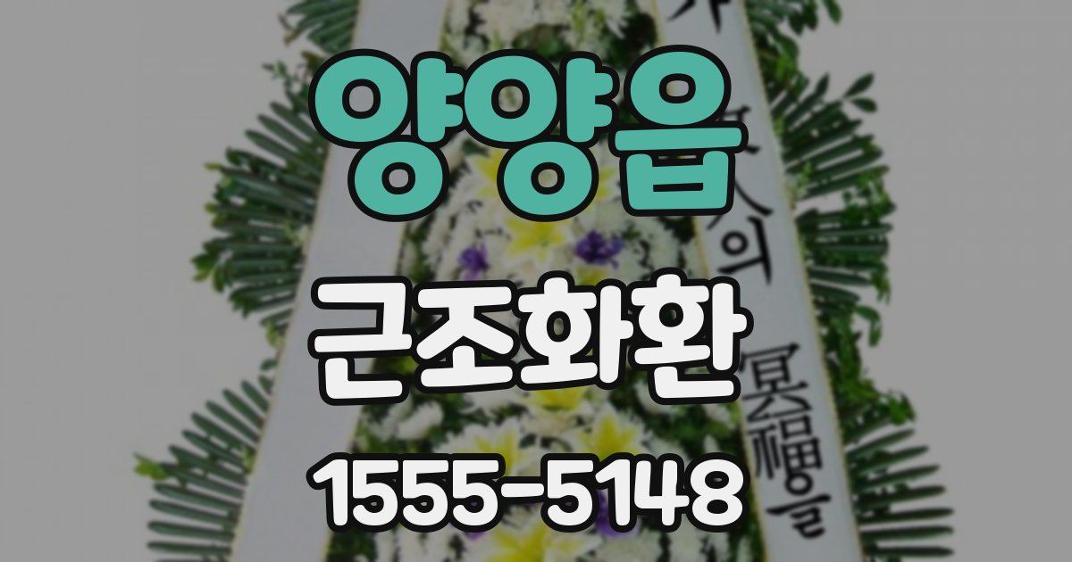 양양읍 근조화환
