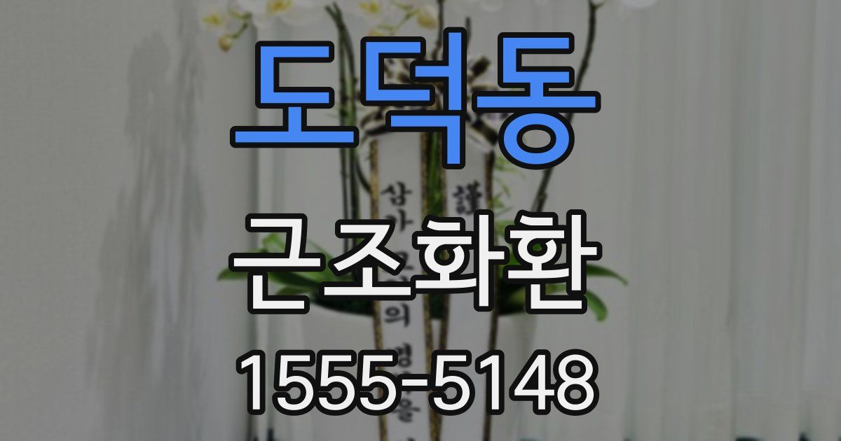 도덕동 근조화환