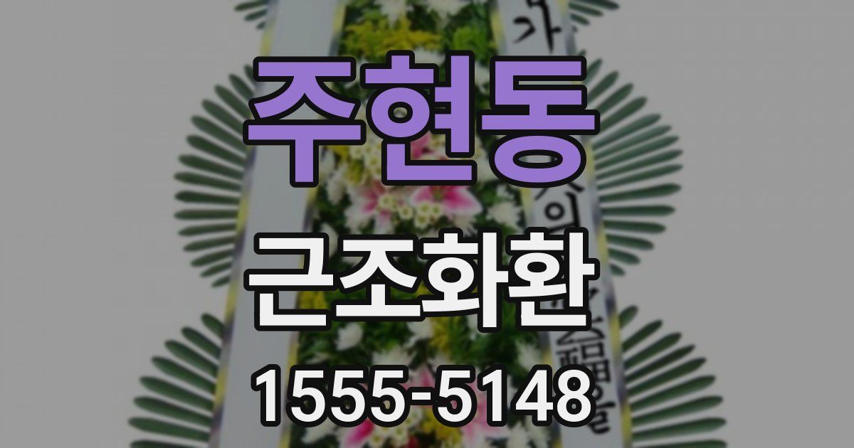 주현동 근조화환