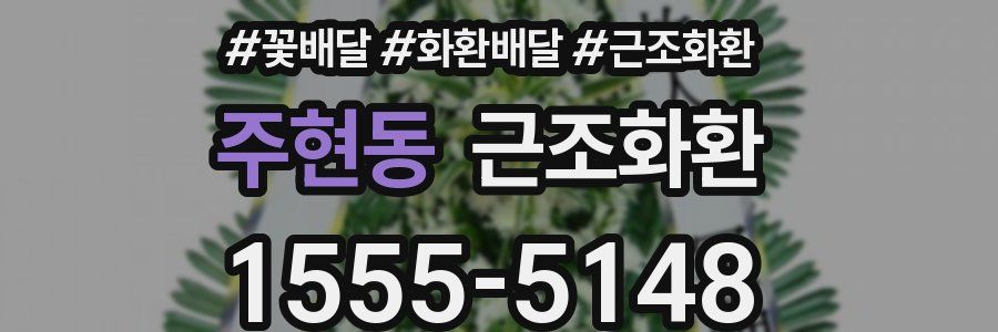 주현동 근조화환