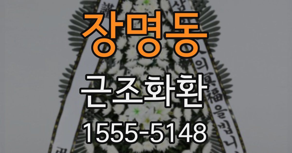 장명동 근조화환