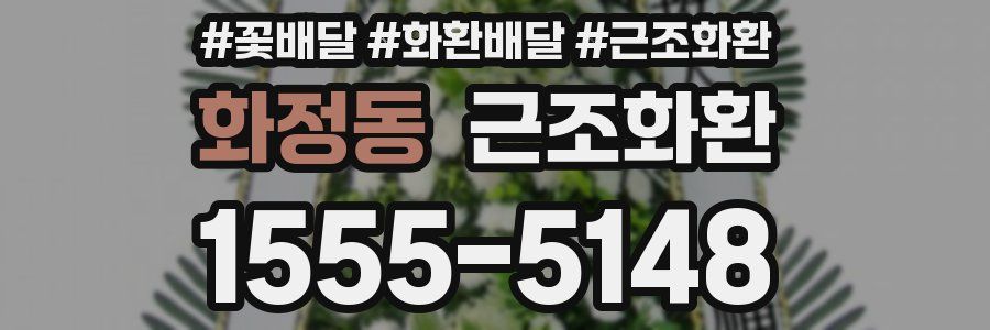 화정동 근조화환