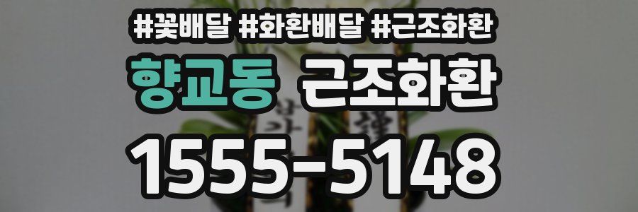 향교동 근조화환
