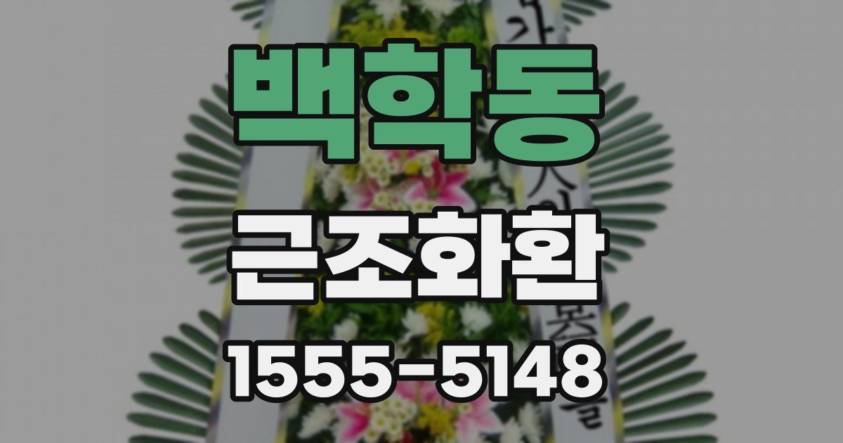 백학동 근조화환