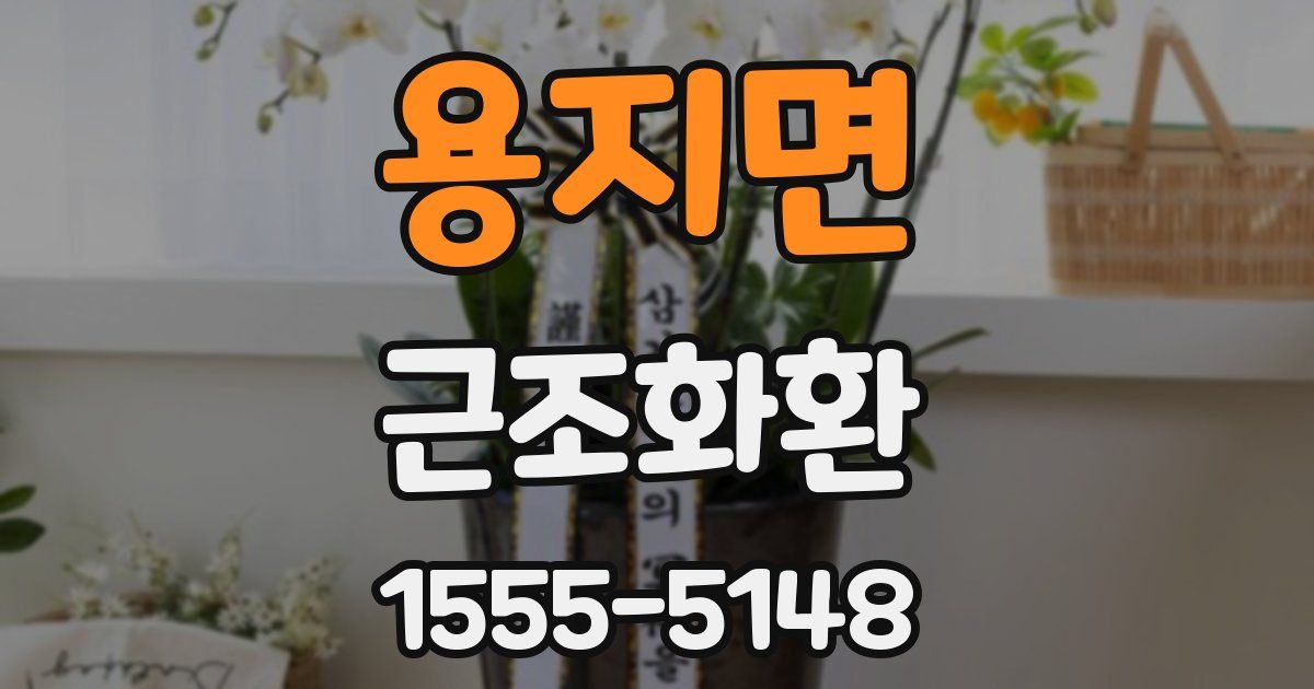 용지면 근조화환