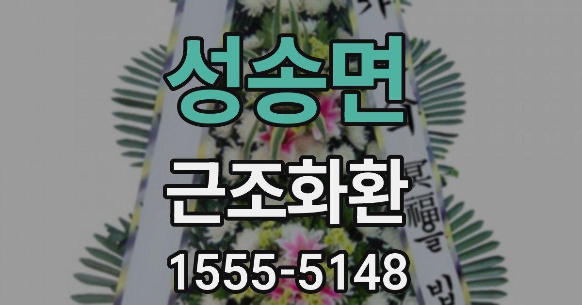 성송면 근조화환