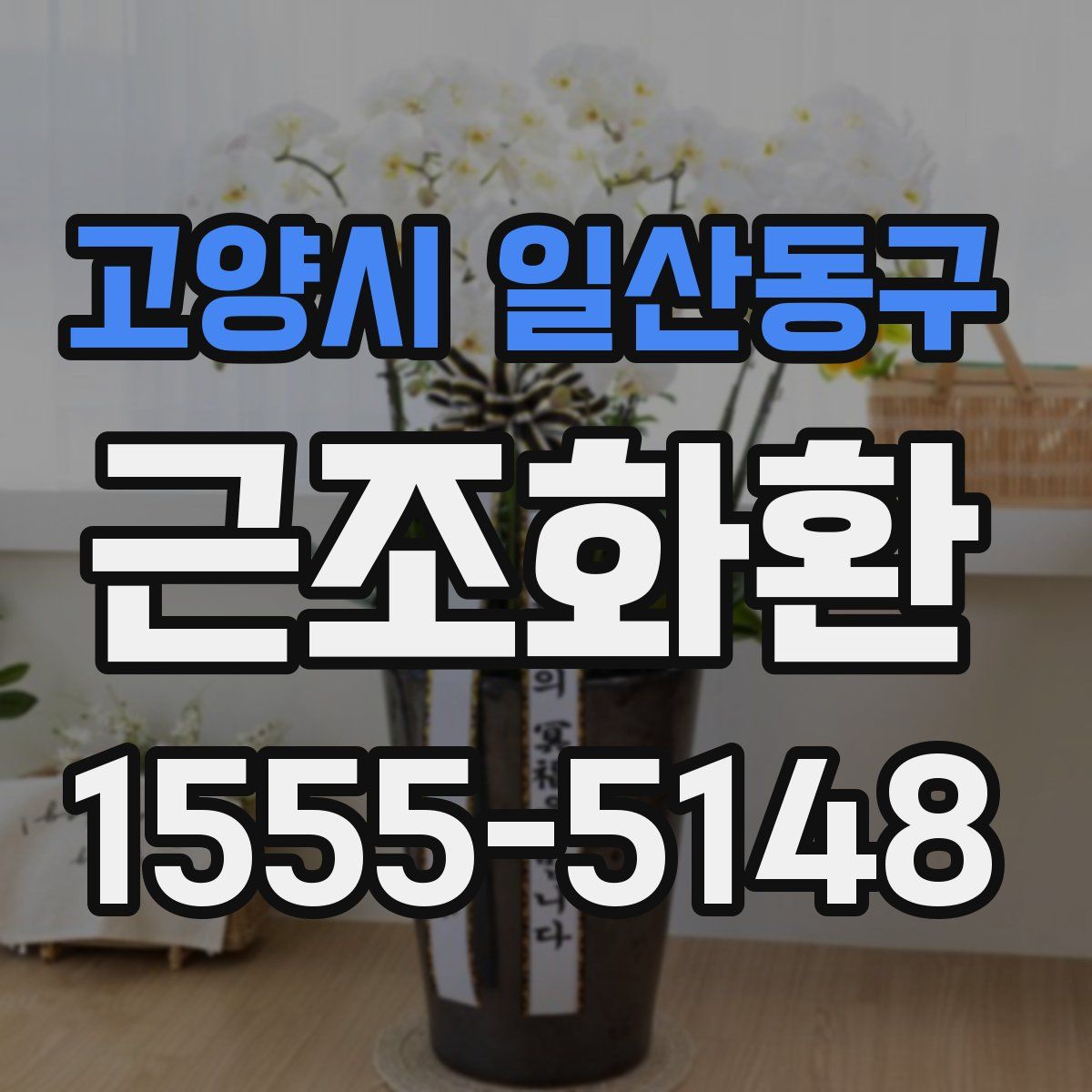고양시 일산동구 근조화환