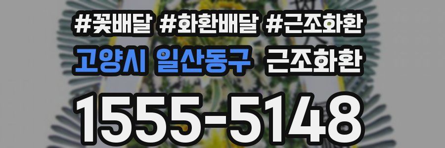 고양시 일산동구 근조화환