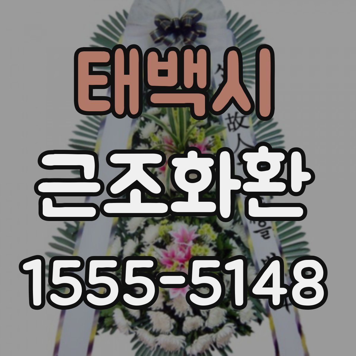 태백시 근조화환