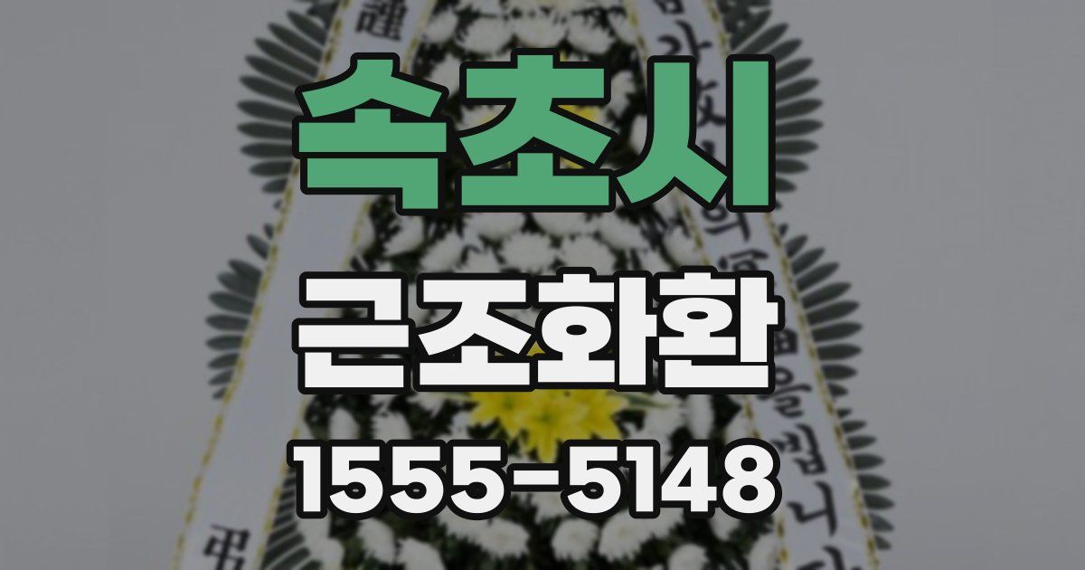 속초시 근조화환