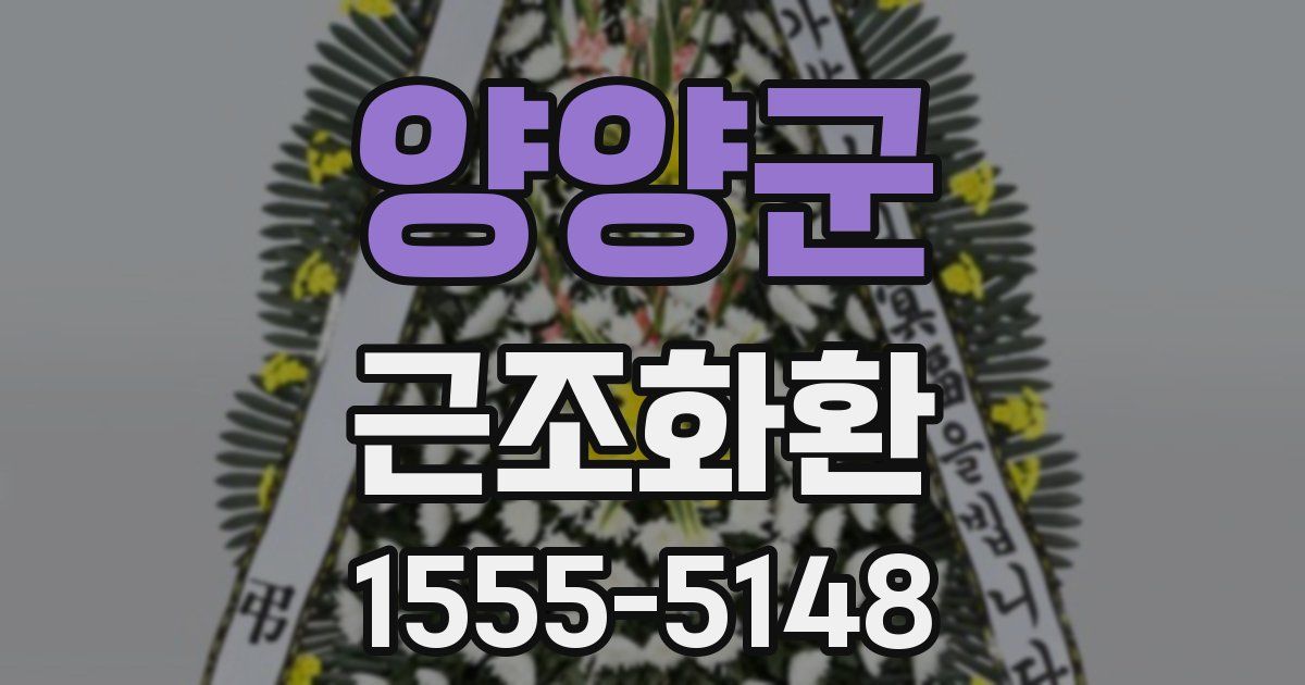 양양군 근조화환