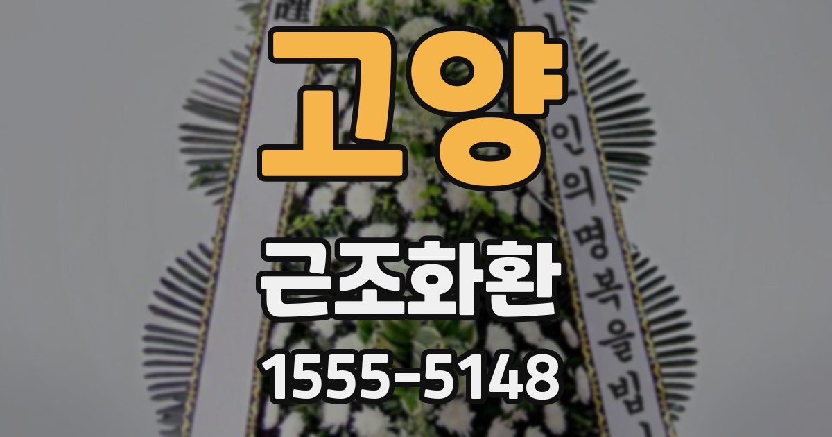 고양 근조화환
