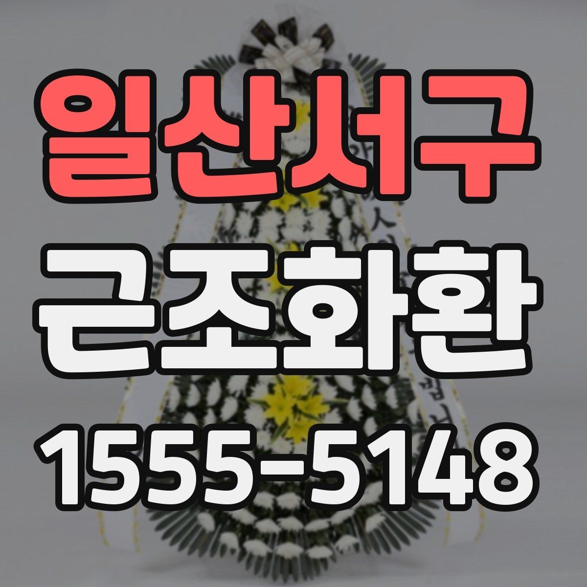 일산서구 근조화환 예산과 품격 사이에서 균형 잡는 기준