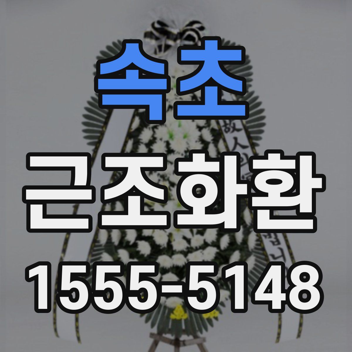 속초 근조화환