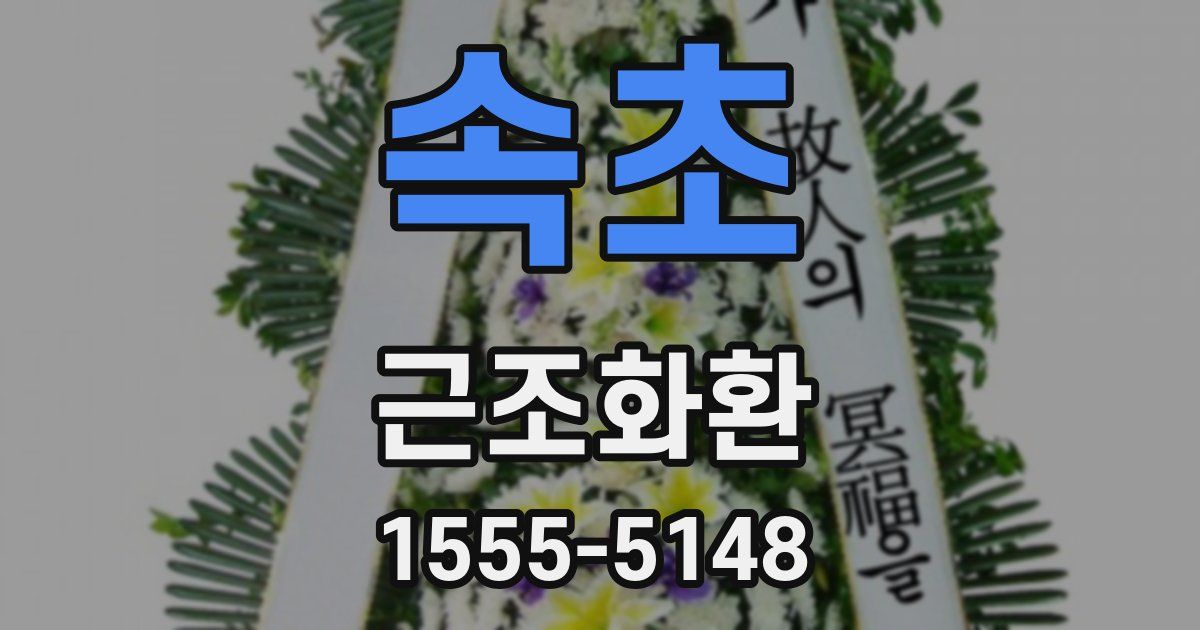 속초 근조화환