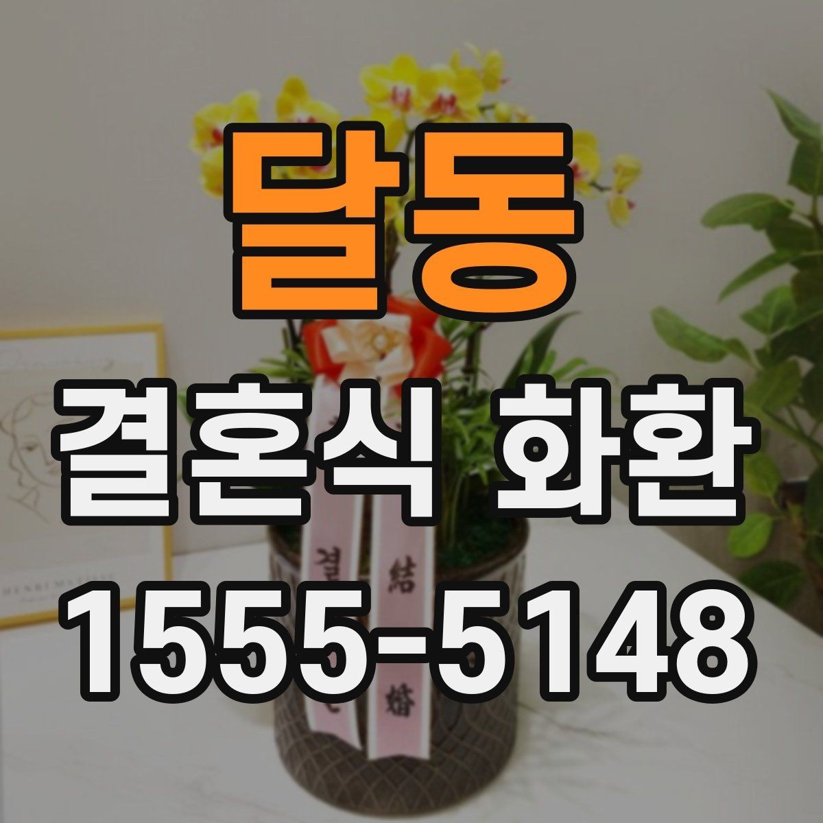달동 결혼식 화환 간단하지만 품위 있게 준비하는 방법