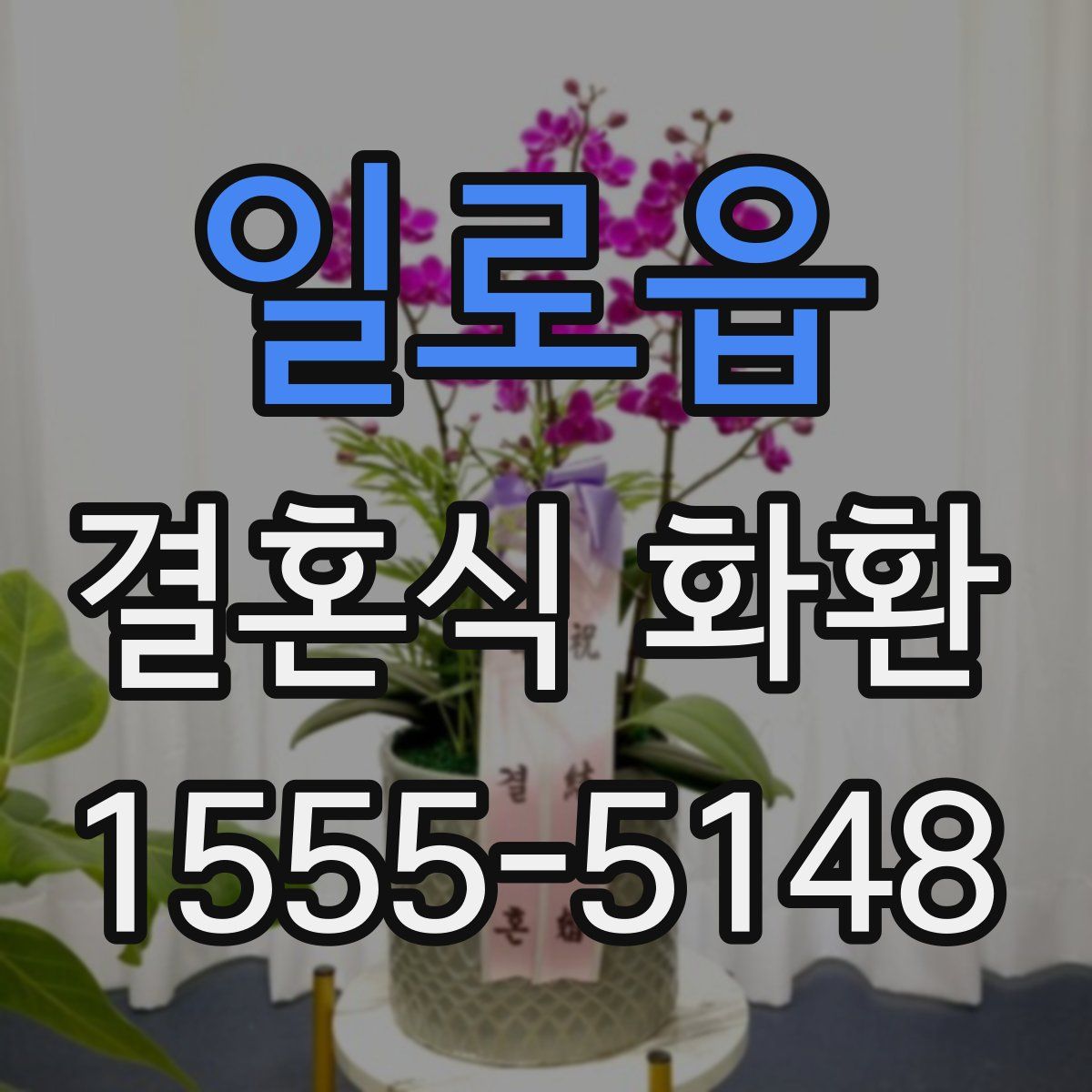 일로읍 결혼식 화환