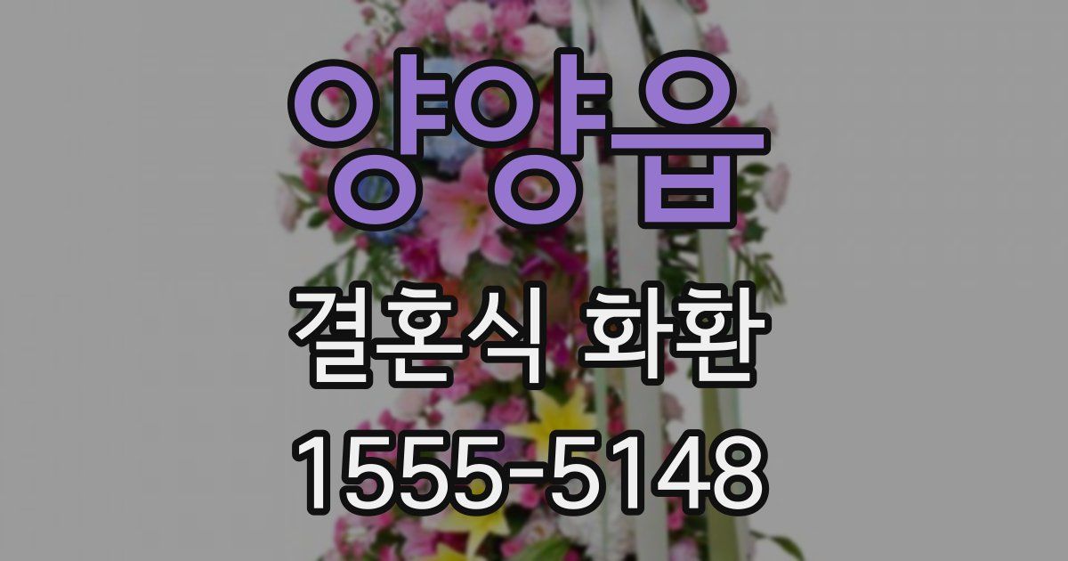 양양읍 결혼식 화환