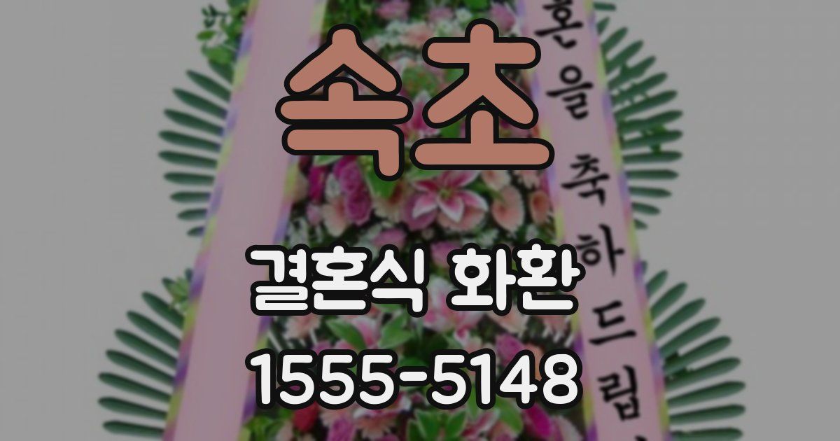 속초 결혼식 화환