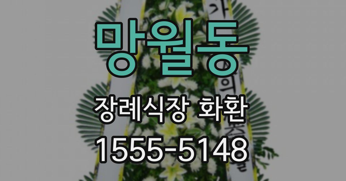 망월동 장례식장 화환