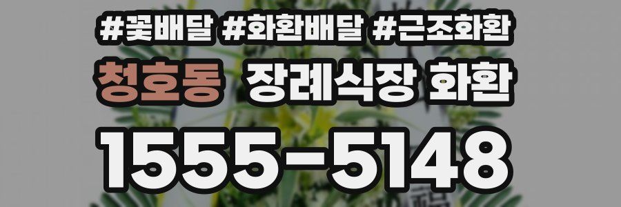 청호동 장례식장 화환