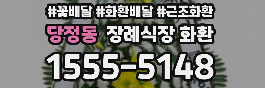 당정동 장례식장 화환