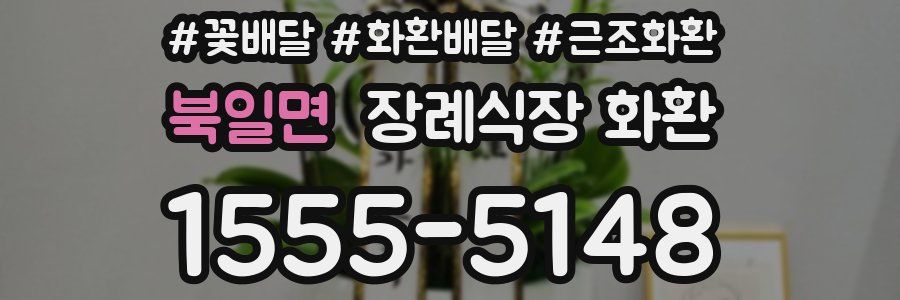 북일면 장례식장 화환