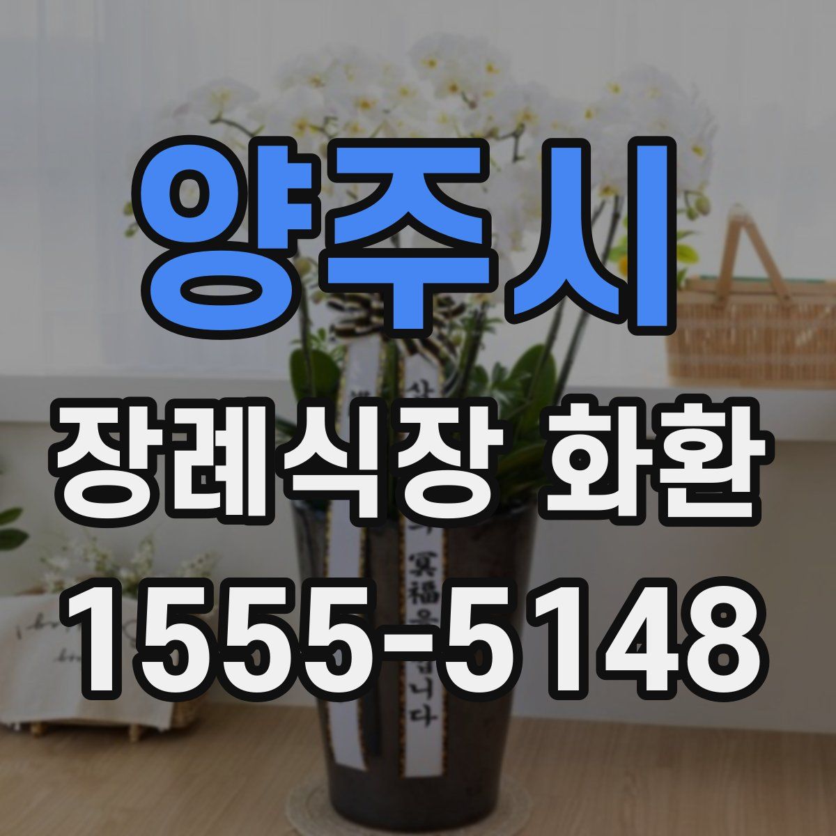 양주시 장례식장 화환