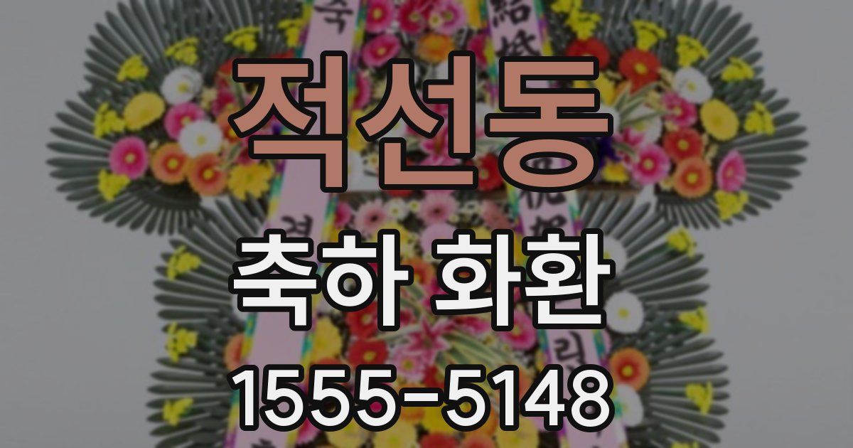 적선동 축하 화환