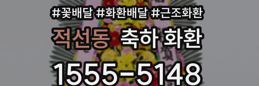 적선동 축하 화환