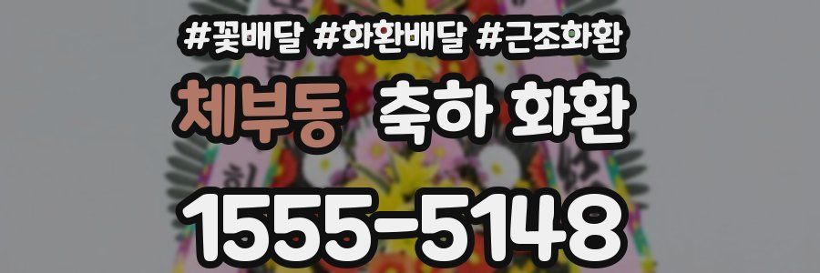 체부동 축하 화환