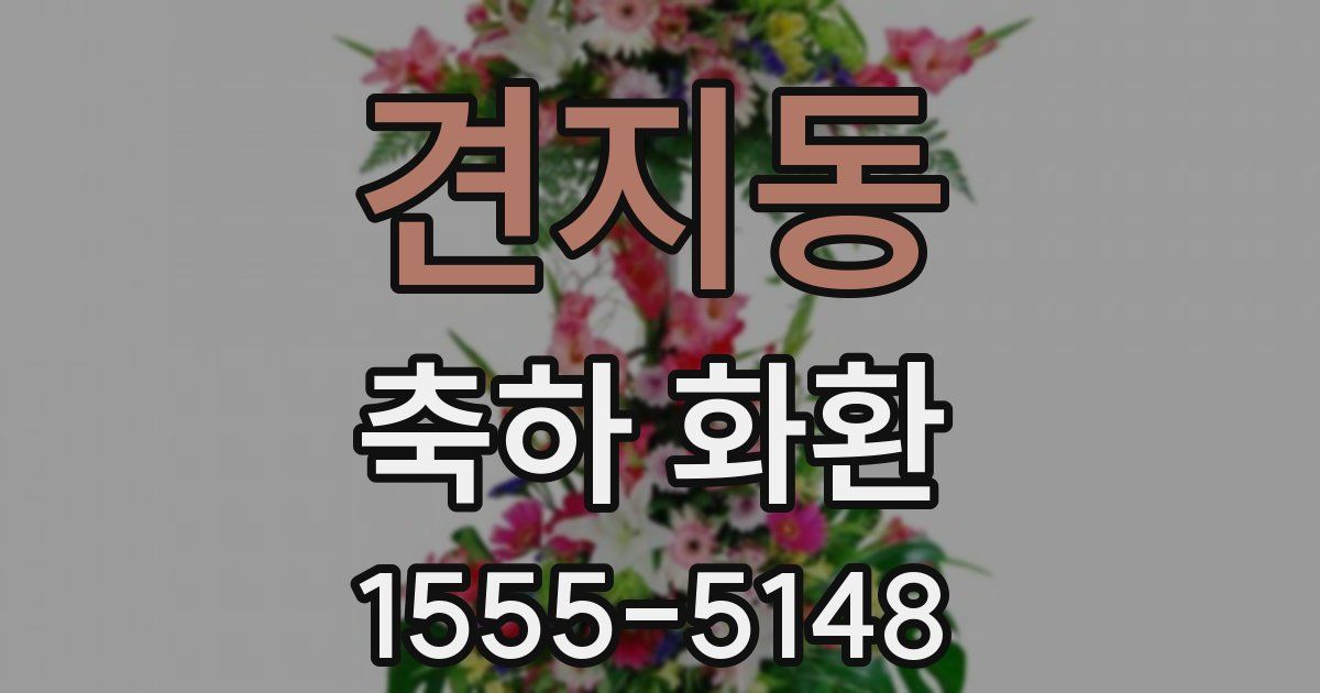 견지동 축하 화환