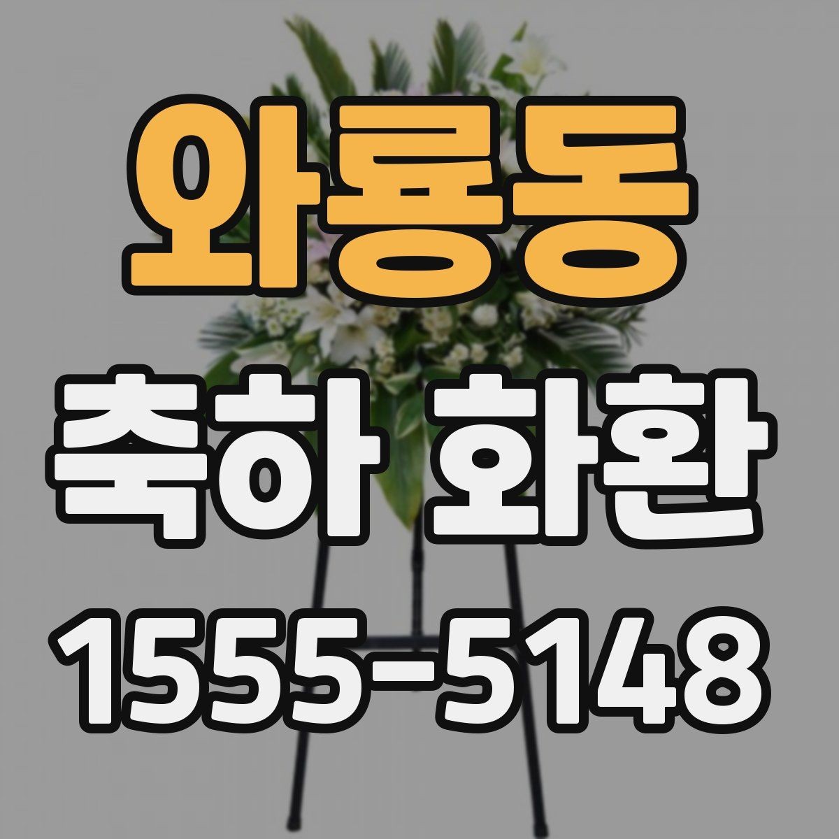 와룡동 축하 화환 계절에 따라 달라지는 포인트