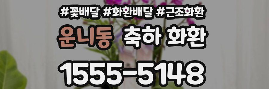 운니동 축하 화환