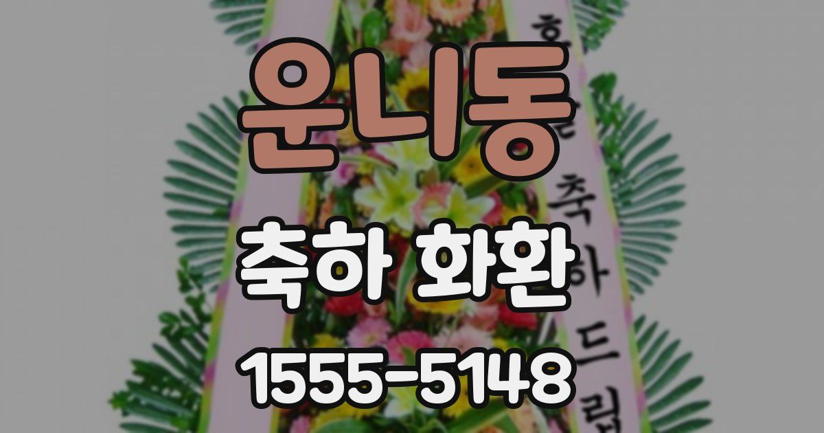 운니동 축하 화환