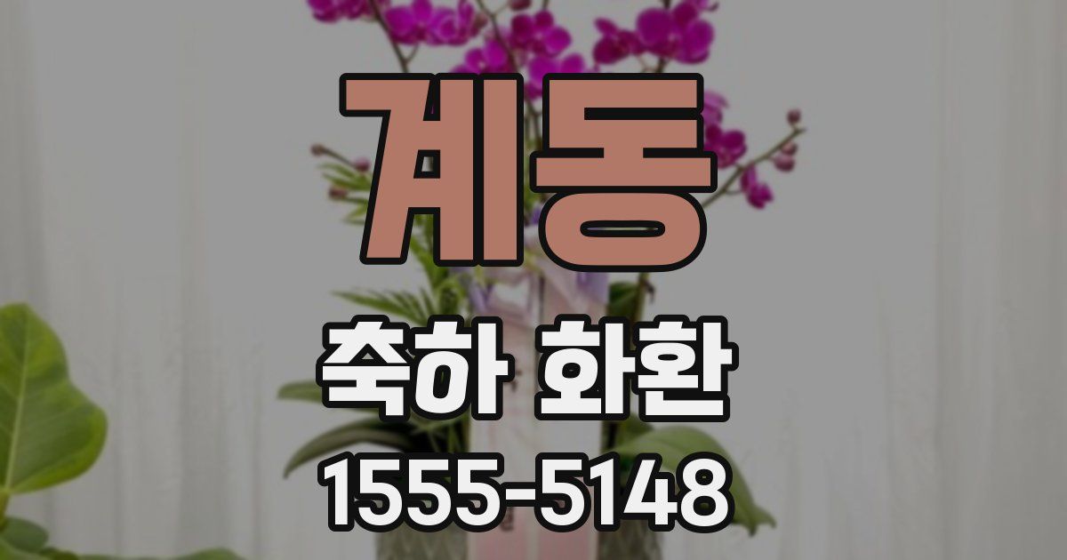 계동 축하 화환