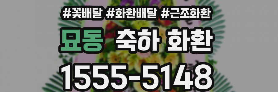 묘동 축하 화환