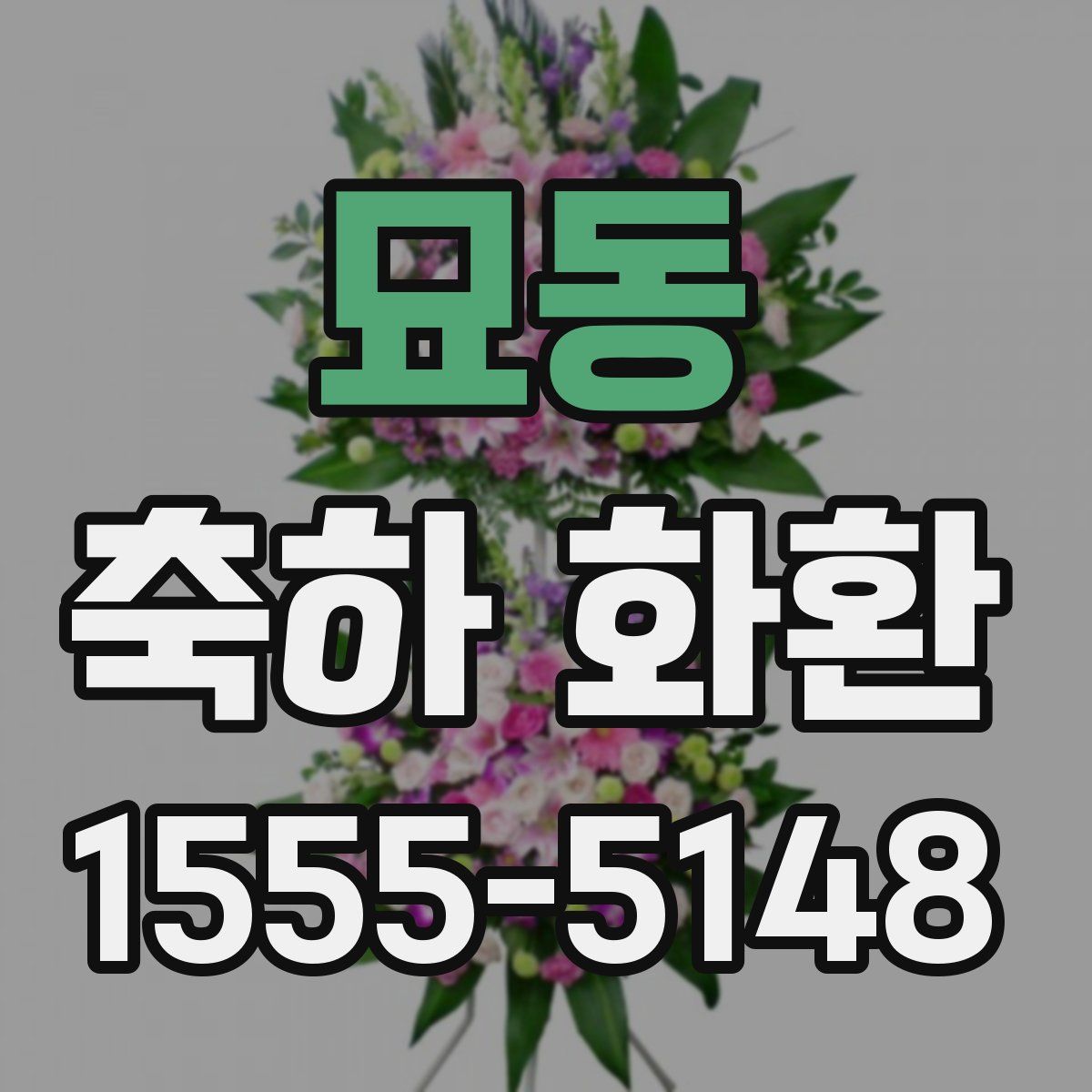 묘동 축하 화환