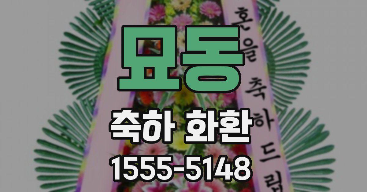 묘동 축하 화환