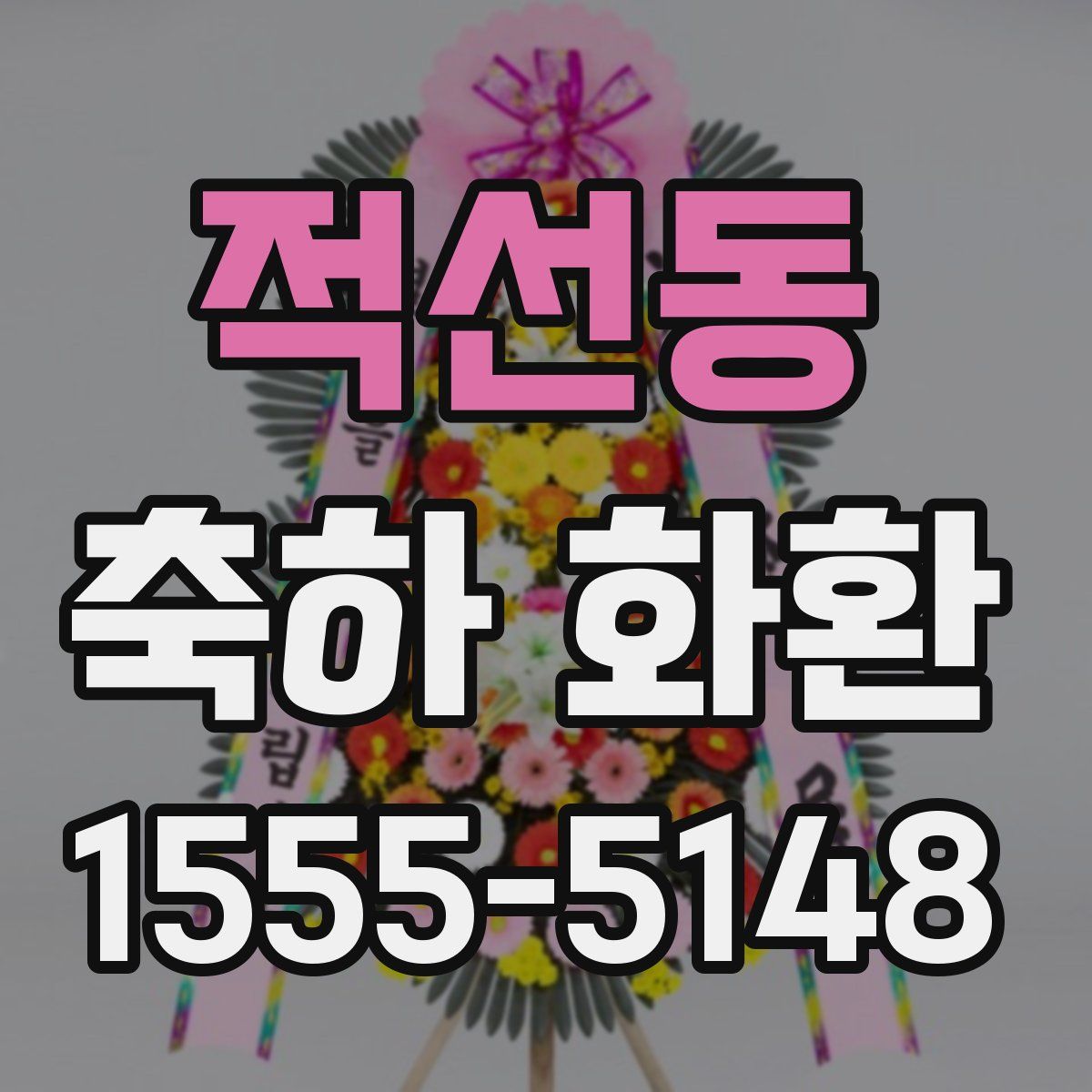 적선동 축하 화환
