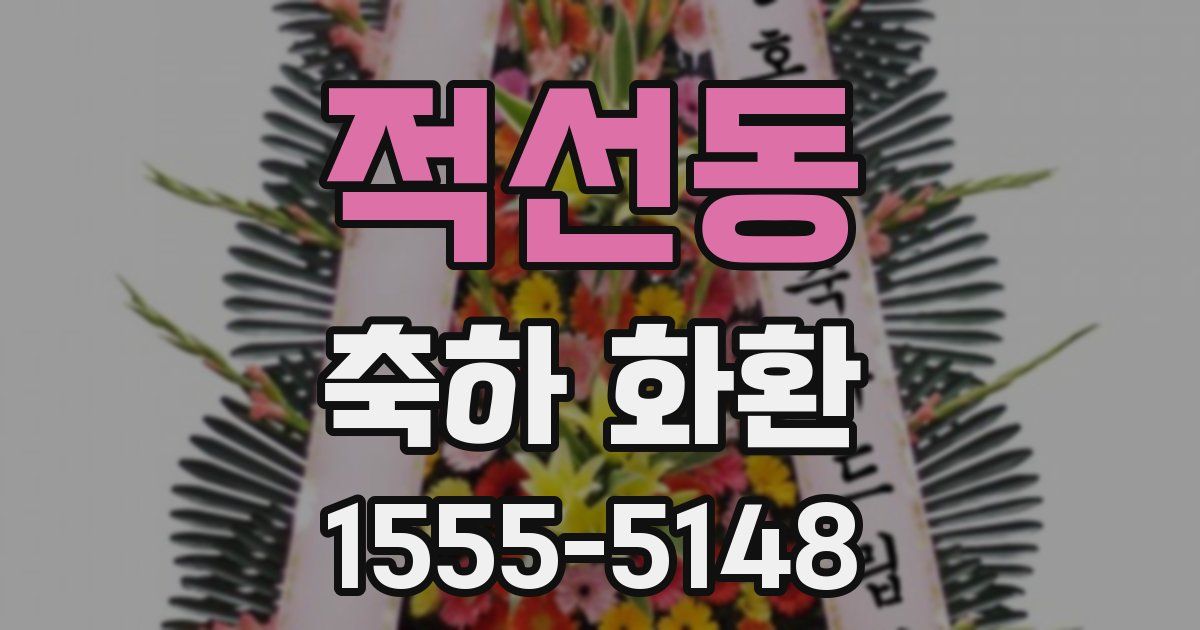 적선동 축하 화환