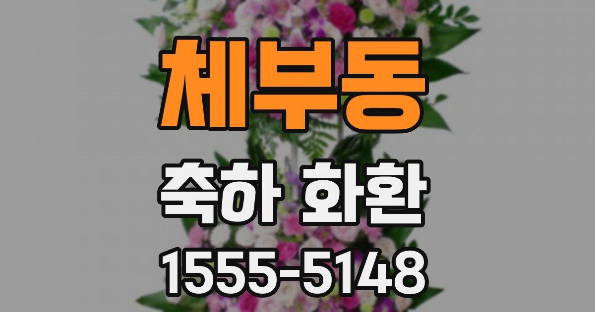 체부동 축하 화환