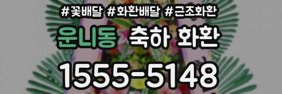 운니동 축하 화환