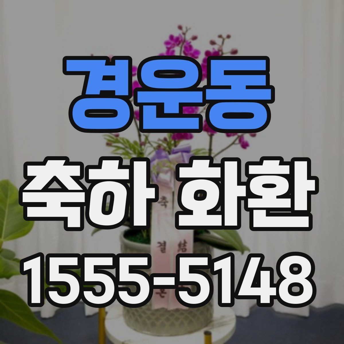 경운동 축하 화환 준비 전 알아두면 좋은 사항