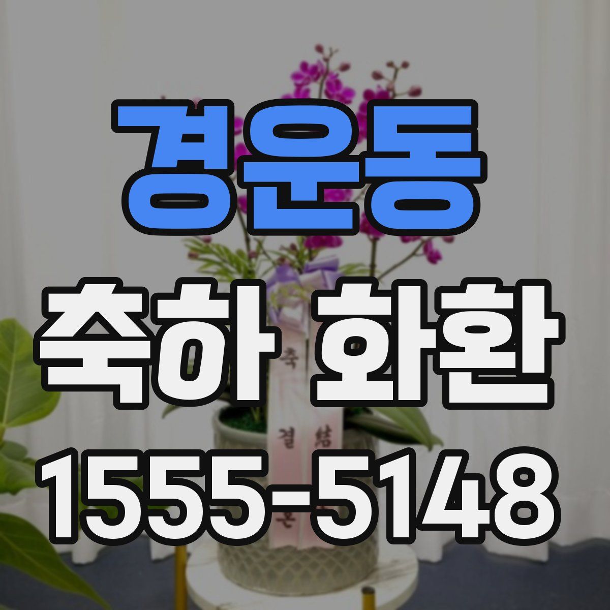경운동 축하 화환