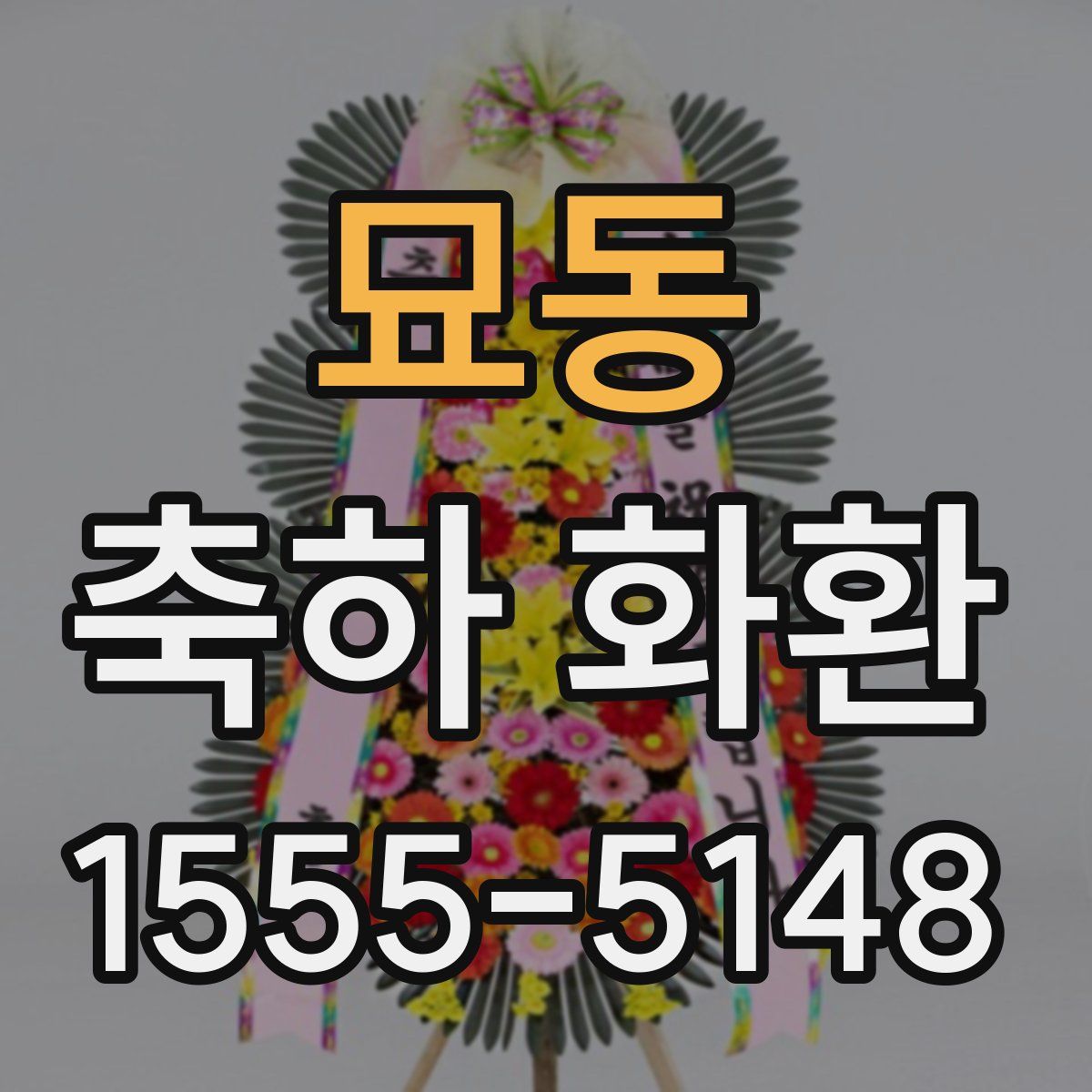 묘동 축하 화환