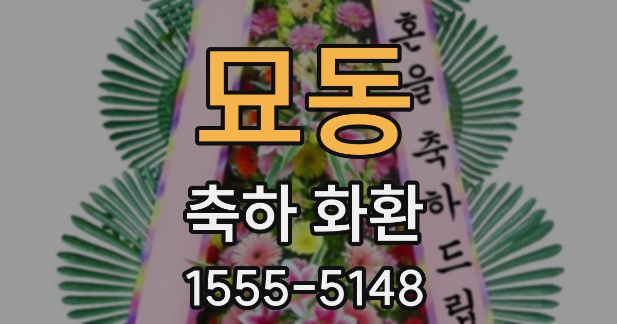 묘동 축하 화환
