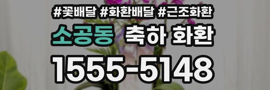 소공동 축하 화환