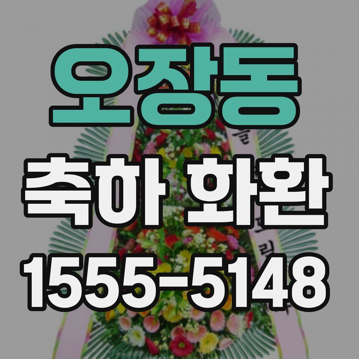 오장동 축하 화환